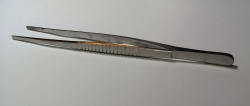 Brucelle inox 300mm