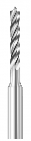 Foret Busch 4203  016